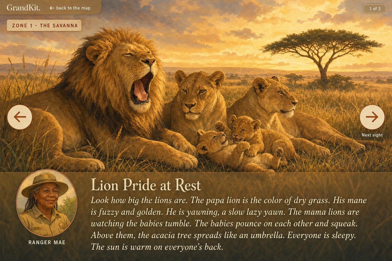 Field-trip sight: a lion pride at rest on the savanna, with Ranger Mae reading the page aloud.